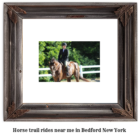 horse trail rides near me in Bedford, New York